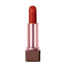 Labial CC Hidratante FPS 25- Terracota 8C